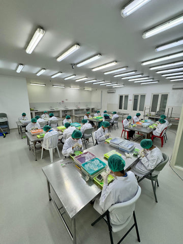 Edible Bird Nests being made in our Natural Nest factory in Indonesia