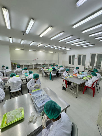 Edible Bird Nest Factory in Indonesia